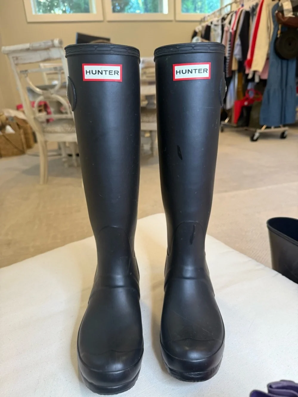 Hunter original tall
